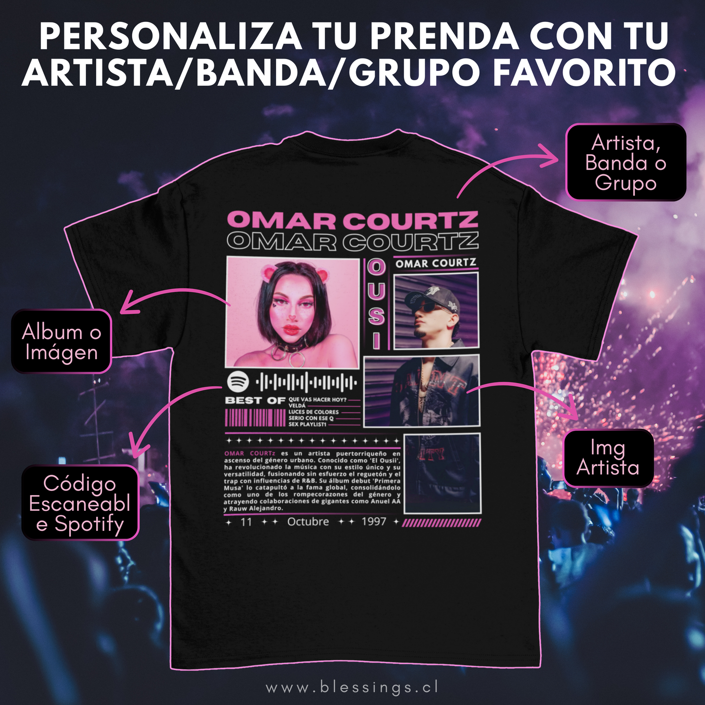 POLERA PERSONALIZADA / POLERON PERSONALIZADO - BANDAS/ARTISTA/GRUPOS