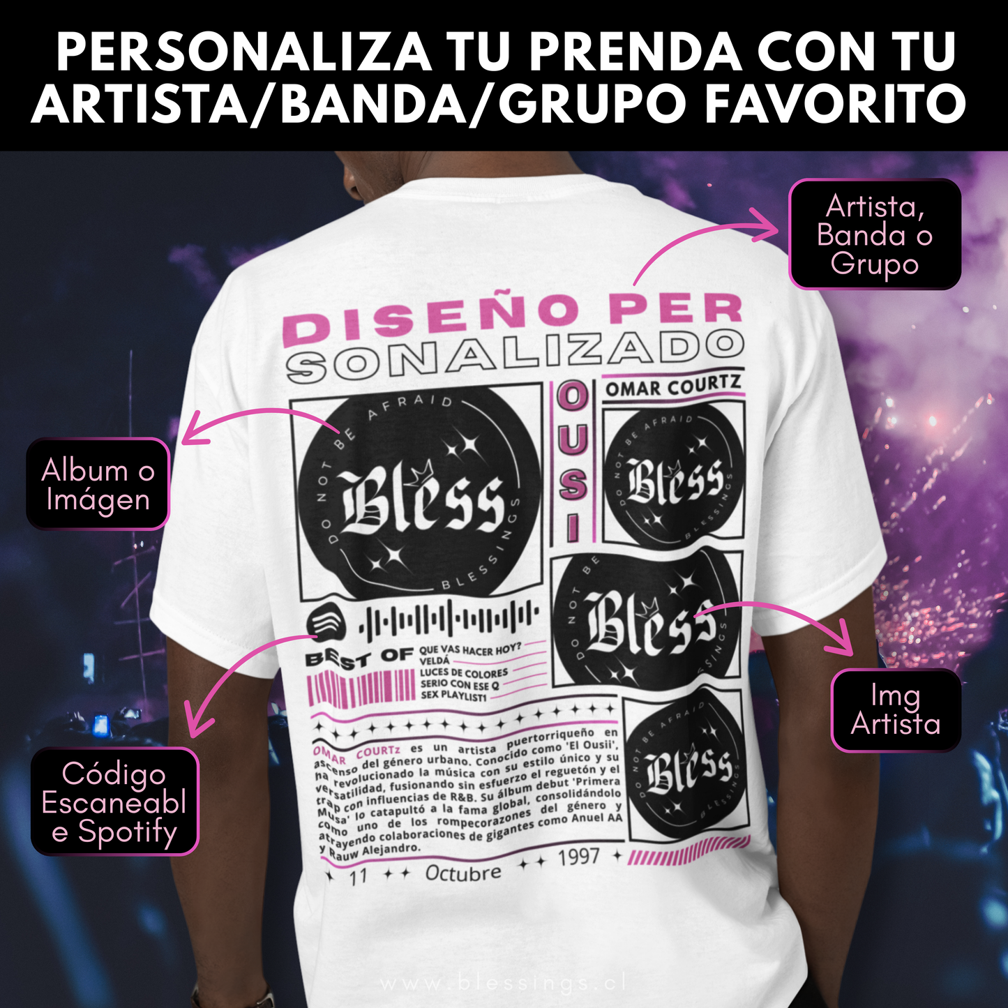 POLERA PERSONALIZADA / POLERON PERSONALIZADO - BANDAS/ARTISTA/GRUPOS