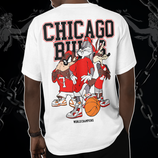 Looney Tunes Chicago Bulls